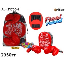 Боксерский н-р Лапа Перчатки FINAL в сеточной сумке TY700-6
