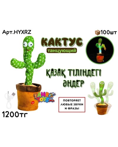 Музыкальный Кактус на казахском HYXRZ