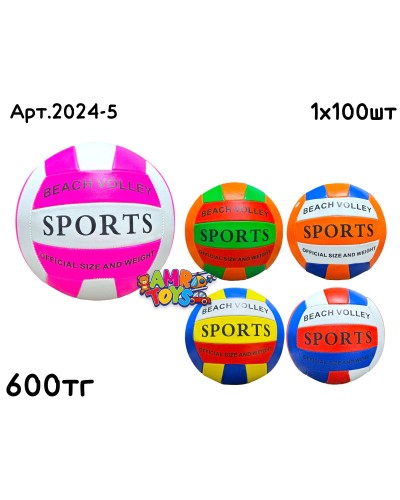 Мяч Волейбольный SPORTS 5цв 2024-5