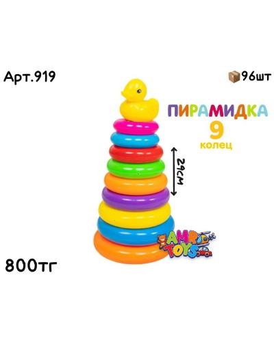 Развивающая Пирамидка 9 колец в сетке 919